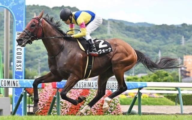 【阪神大賞典予想オッズ】サヴォーナが予想1番人気