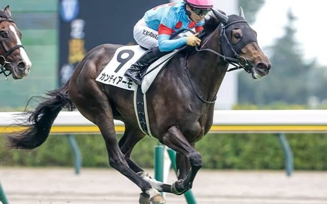 ルメール騎手×木村哲也厩舎がフラワーCで2年連続タッグ 新馬レコードVの素質馬と初制覇なるか