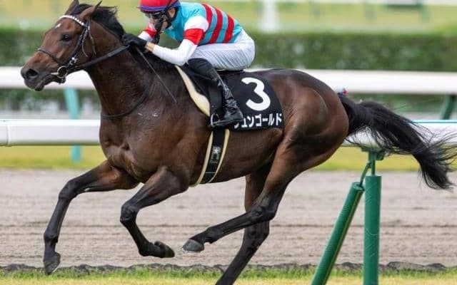 いとこはダービー馬マカヒキ 友道厩舎の大器がスプリングSで真価発揮だ
