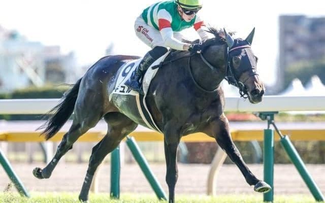 【フラワーC予想オッズ】カニキュルが予想1番人気