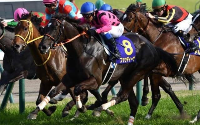 フラワーカップ圧勝で皐月賞1番人気に　牡馬クラシックに挑んだ「牝馬のチャレンジャー」