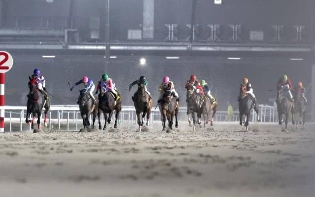名古屋競馬に1400m戦を新設 重賞は行わずC級戦のみ実施