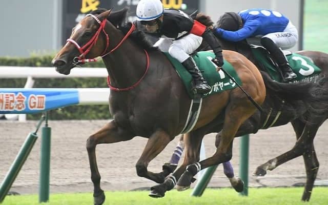 ボンボヤージが競走馬登録抹消、繁殖入り 22年北九州記念を16番人気でV