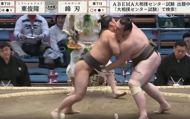 力士の髷が綺麗な“ポニーテール”になった激戦の珍事 「僧帽筋やっば」「気持ちも内容もいい」心技体でファンを魅了