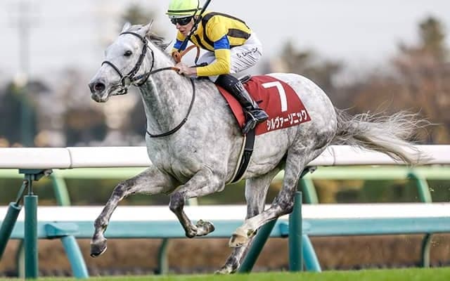 武豊騎手が阪神大賞典9勝目なるか 重賞2勝馬シルヴァーソニックと約4年ぶりコンビ