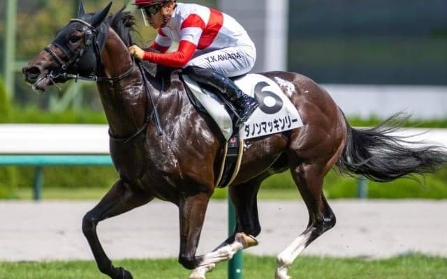 2億円の良血馬が連敗脱出へ ファルコンSで初タイトル獲得なるか