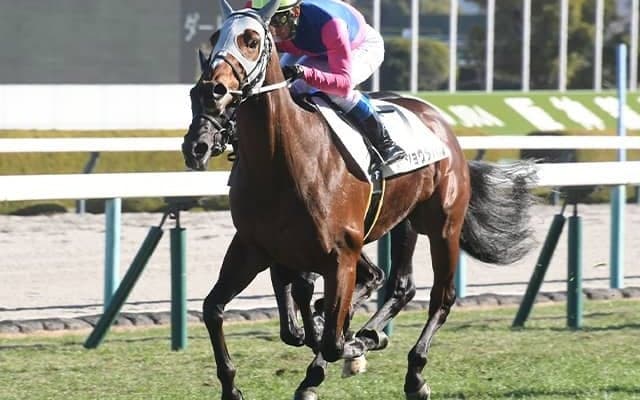 横山典弘騎手がゴールドシップ産駒とスプリングS参戦 盟友の仔をクラシックへ導くか