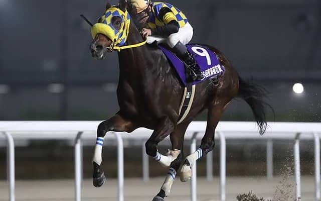 名古屋の強豪が阪神大賞典に参戦 レース史上初の地方馬V狙う