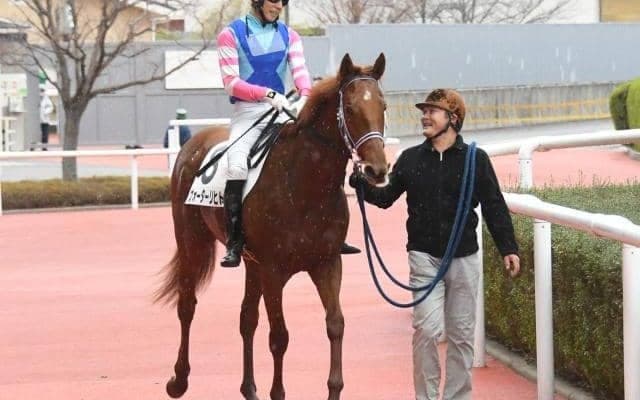 【スプリングS予想】評価が分かれるウォーターリヒト AIと近年データから導かれる結論は