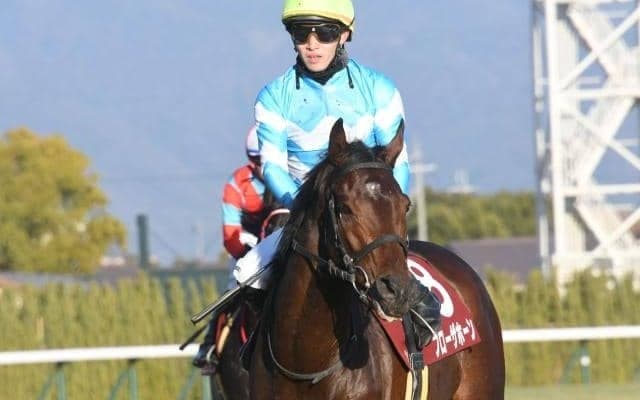 【阪神大賞典展望】好走条件揃い、勢いもあるブローザホーンに注目