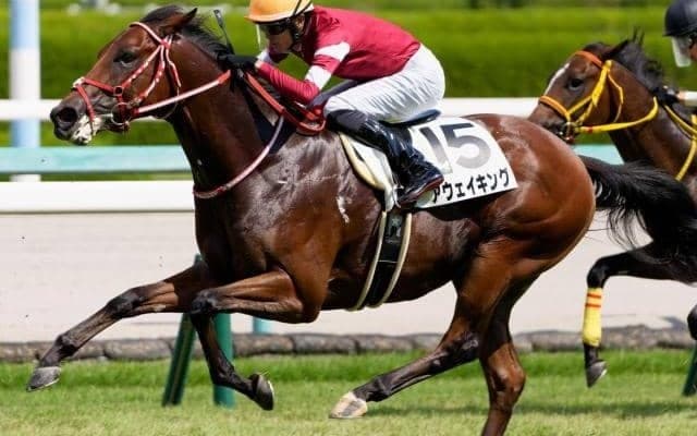 ウマ娘・藤田晋オーナー×矢作厩舎コンビ 近親に凱旋門賞馬の良血が待望の初勝利狙う