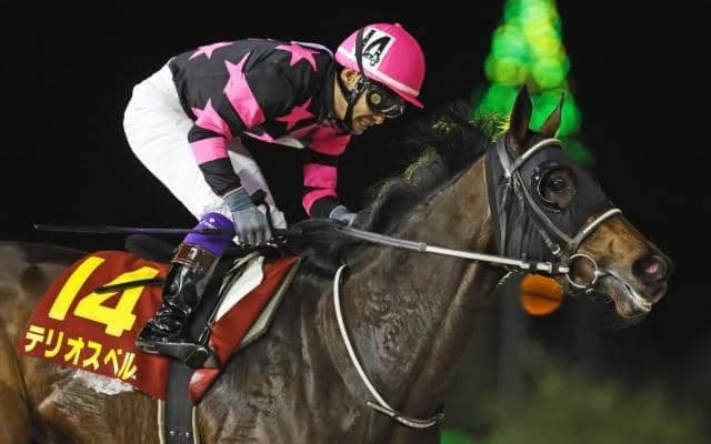 ダート中長距離重賞で活躍のテリオスベルが抹消 今後は北海道で繁殖馬に