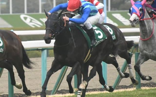 京都牝馬S覇者ララクリスティーヌが競走馬登録抹消 ヒダカファームで繁殖入り