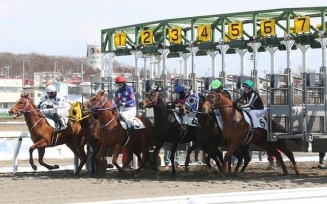 門別競馬場で今年最初の2歳能力検査 153頭が合格しデビューへの第一歩踏み出す