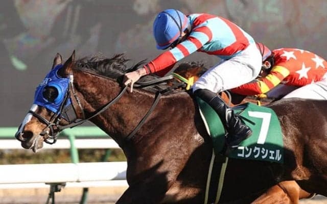 【中山牝馬S】岩田望「すごく落ち着いてました」コンクシェルが重賞初制覇