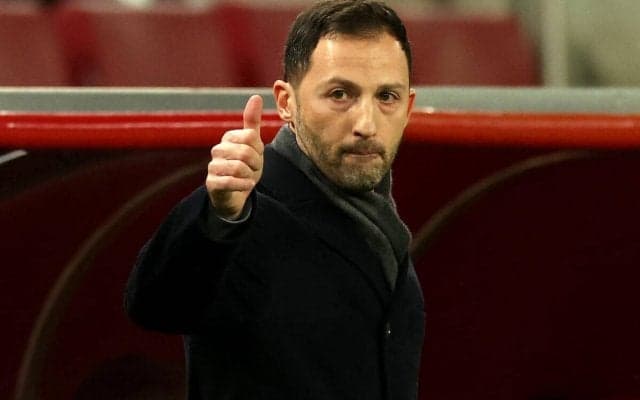 就任後10戦無敗、ベルギー代表がテデスコ監督との契約延長を発表！ 2026年W杯まで任せることに