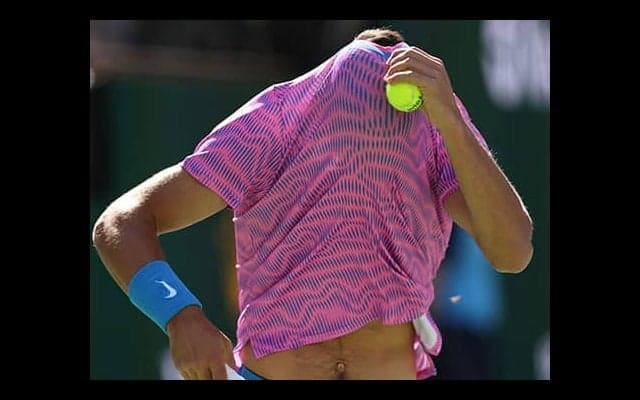 ミツバチが襲撃 まさかの事態に騒然