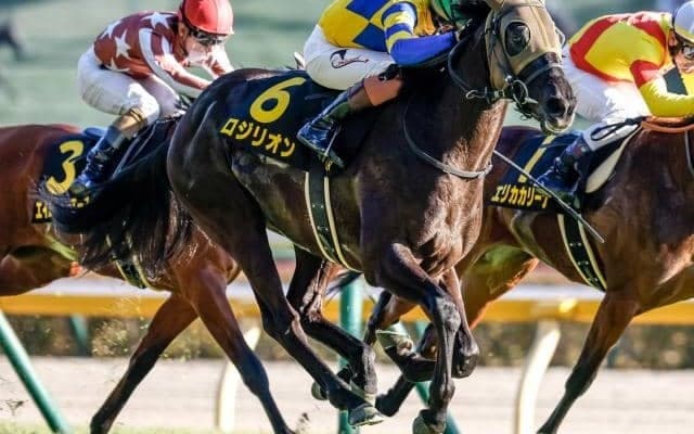 【ファルコンS枠順確定】ロジリオンは1枠1番、シュトラウスは3枠5番