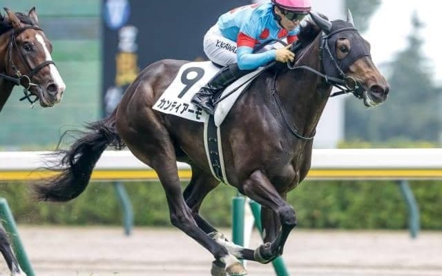 【フラワーC枠順確定】カンティアーモは2枠2番、カニキュルは5枠6番