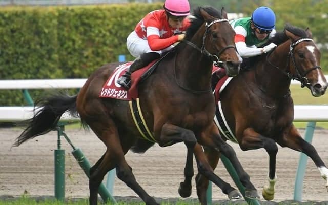 京都新聞杯覇者レッドジェネシスが競走馬登録抹消 今後は広島県で乗馬に