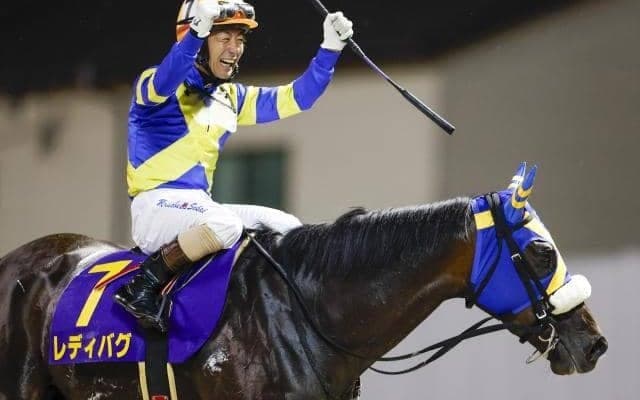 ホッコータルマエ初年度産駒の一頭 レディバグが抹消・繁殖入り