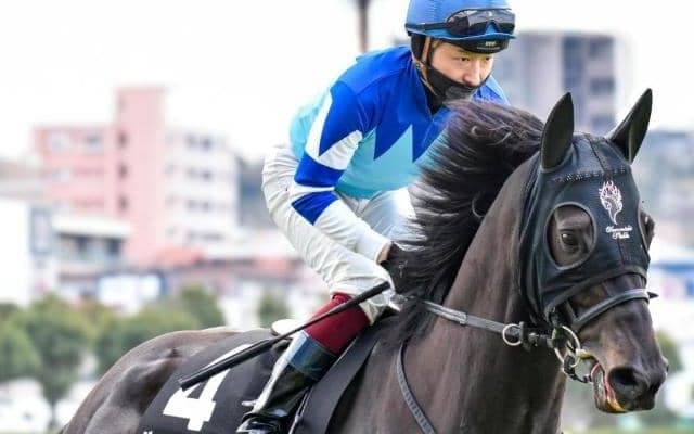 「大魔神」佐々木主浩オーナーが所有 “ヴィブロスの仔”が土曜中京7Rで2勝目狙う