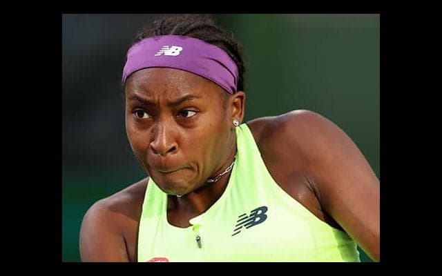  蜂侵入に「違反になっても逃げる」 