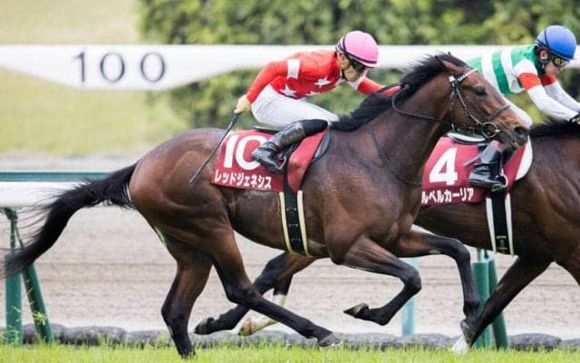 レッドジェネシスが競走馬登録抹消…京都新聞杯V