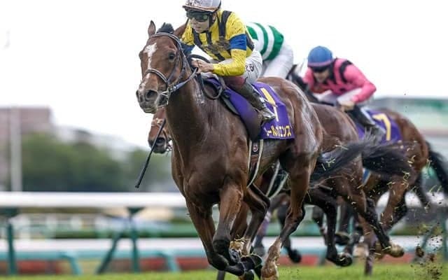 【大阪杯想定馬・騎手】ソールオリエンス、タスティエーラなど19頭