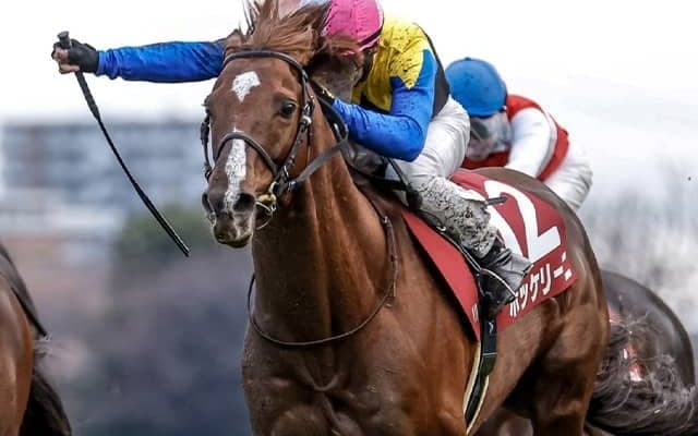 【日経賞想定馬・騎手】ボッケリーニ、リカンカブールなど11頭