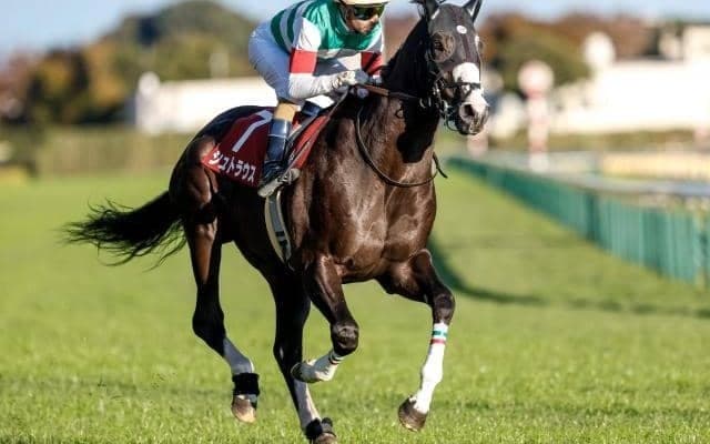 【今日の注目ポイント】中山でフラワーCと中京でファルコンSの2重賞