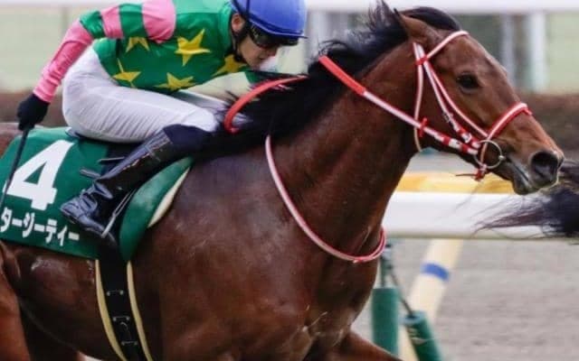 不完全燃焼続くミスタージーティー 若葉Sで巻き返し期す