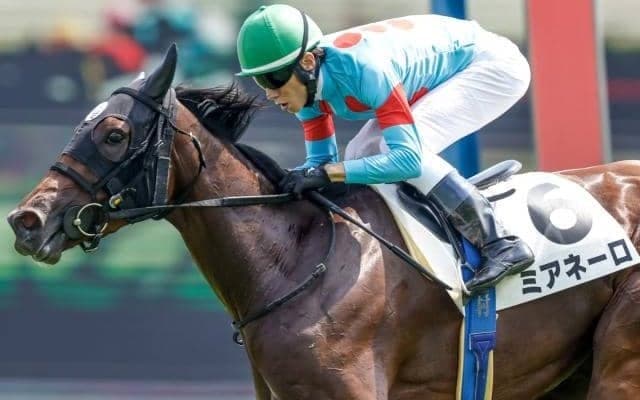 【フラワーC予想】春の牝馬クラシックにつながる一戦も 秋に飛躍する馬を探したいレース