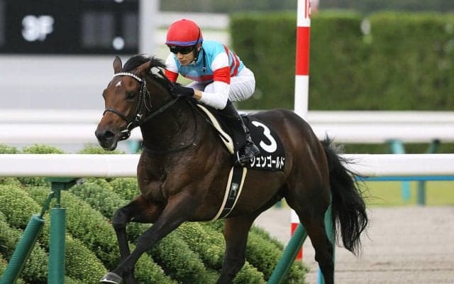 スプリングＳで好配当をもたらす２頭　波乱続きのトライアル戦は馬券的な妙味を重視すべし