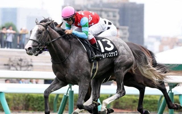 阪神大賞典は「ステイゴールド系」が強い　天皇賞・春のステップレースは格下馬に期待