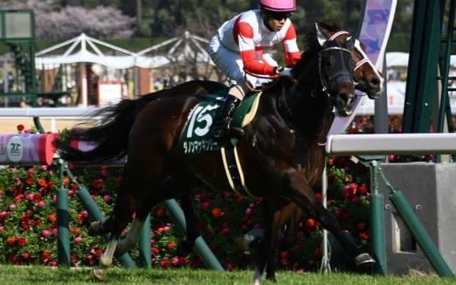 【ファルコンS結果】7番人気ダノンマッキンリーが差し切り重賞初制覇