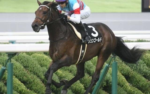 【スプリングS予想】巻き返しは強く望めず? 前走5着以下敗退馬は大苦戦