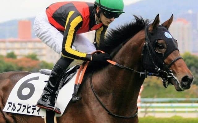 半兄に日本ダービー馬と皐月賞馬 良血馬が日曜中京7Rで2勝目狙う
