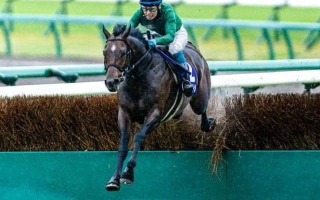 昨年の中山GJ覇者 スピカSで1年5カ月ぶりの平地参戦