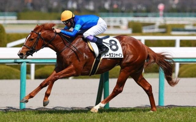 【阪神6R】武豊騎乗、トーラスシャインがデビュー2連勝