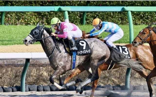 【千葉S】ケイアイロベージが馬群を割って抜け出す