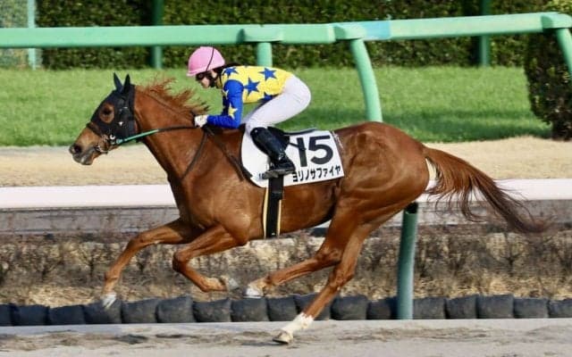 【中山12R】藤田菜七子騎乗、ヨリノサファイアが8馬身差圧勝