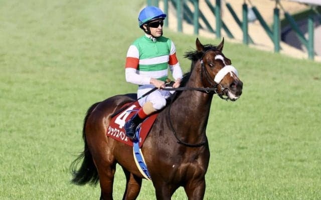 【スプリングS】ルメール「すごく良い3歳馬」シックスペンスが無傷の3連勝