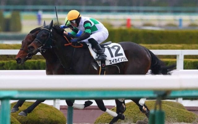 【阪神6R】クロドラバール、エイカイソウルが1着同着