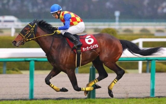 【阪神大賞典】菱田「スピード衰えることなく走ってくれた」テーオーロイヤルが圧勝