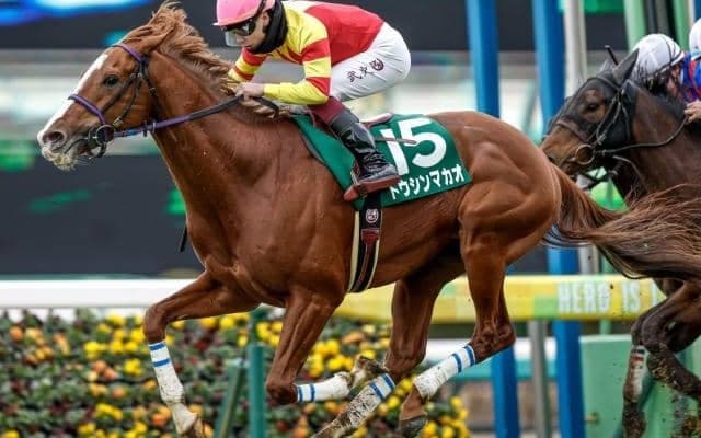 春のGIシリーズ開幕を告げる高松宮記念など4重賞/今週の競馬界の見どころ