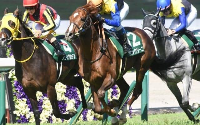 【日経賞見どころ】ボッケリーニが惜敗続きに終止符を打つ