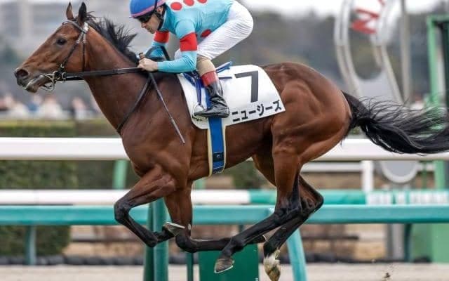 【毎日杯見どころ】まだクラシック間に合う、大器ニュージーズが無傷連勝を狙う