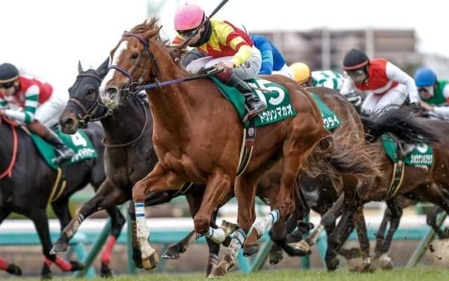 【高松宮記念見どころ】馬場に泣いた昨年の鬱憤を晴らすトウシンマカオ