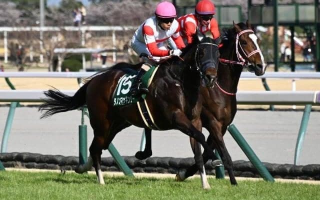 【ファルコンS】売上は31億7213万600円で昨年より約9億円増加